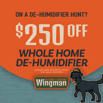 $250 off de-humidifers